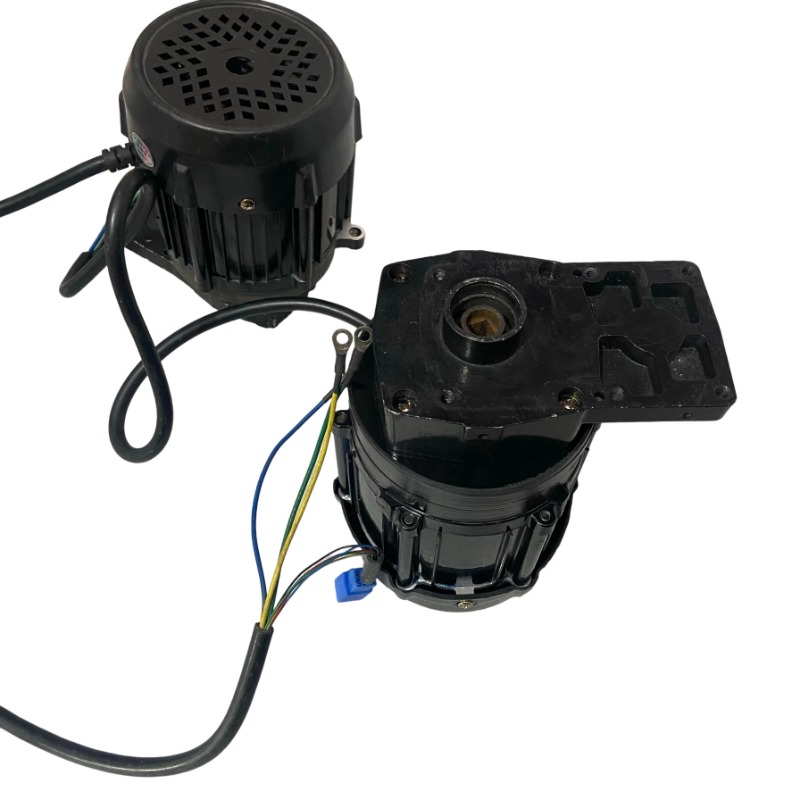 48V 1000/1200/1500W High-Speed - Fishing Boat Trolling Motor recension och pris